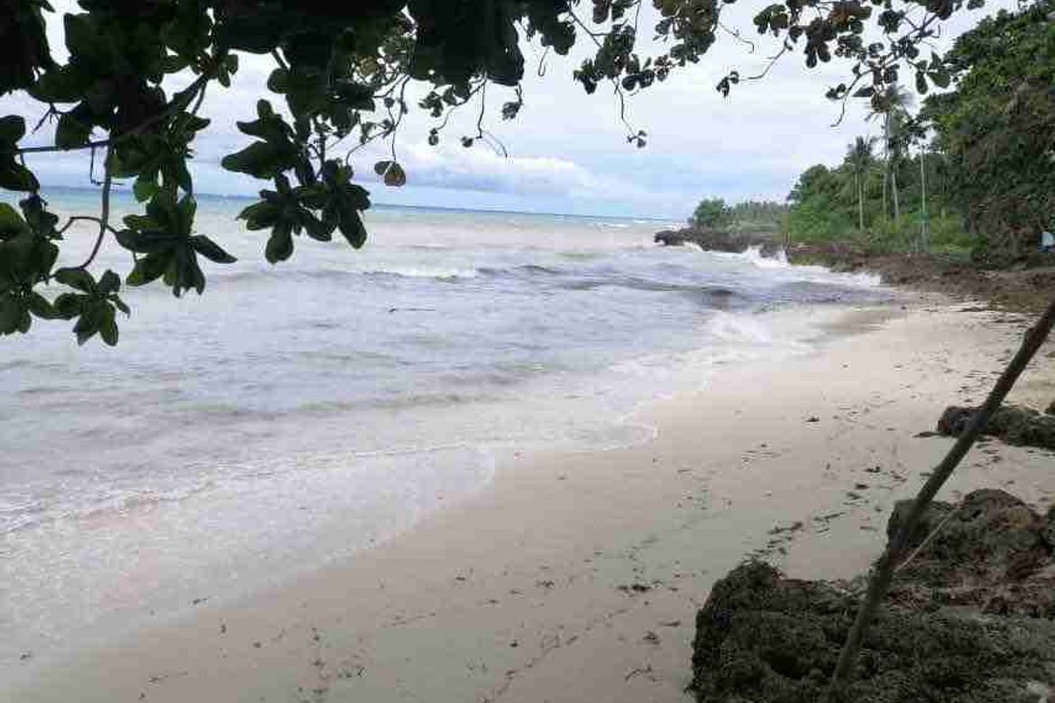 Land for Sale in Union, San Francisco, Cebu – photo 7