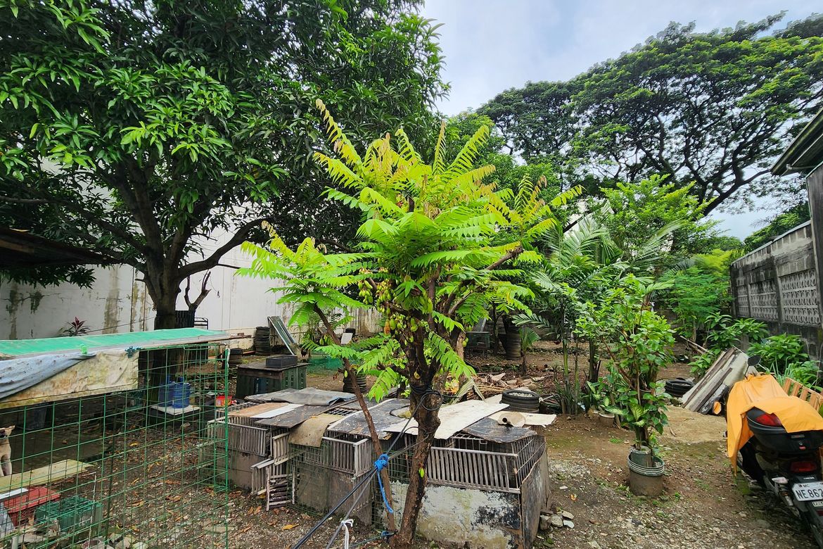 Land for Sale in Univ. Phil. Village, Quezon City, Metro Manila – photo 4