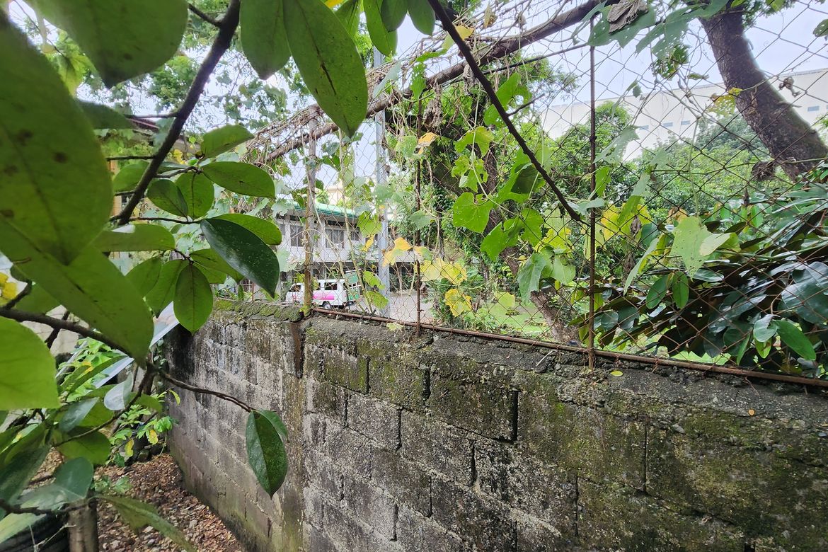Land for Sale in Univ. Phil. Village, Quezon City, Metro Manila – photo 6