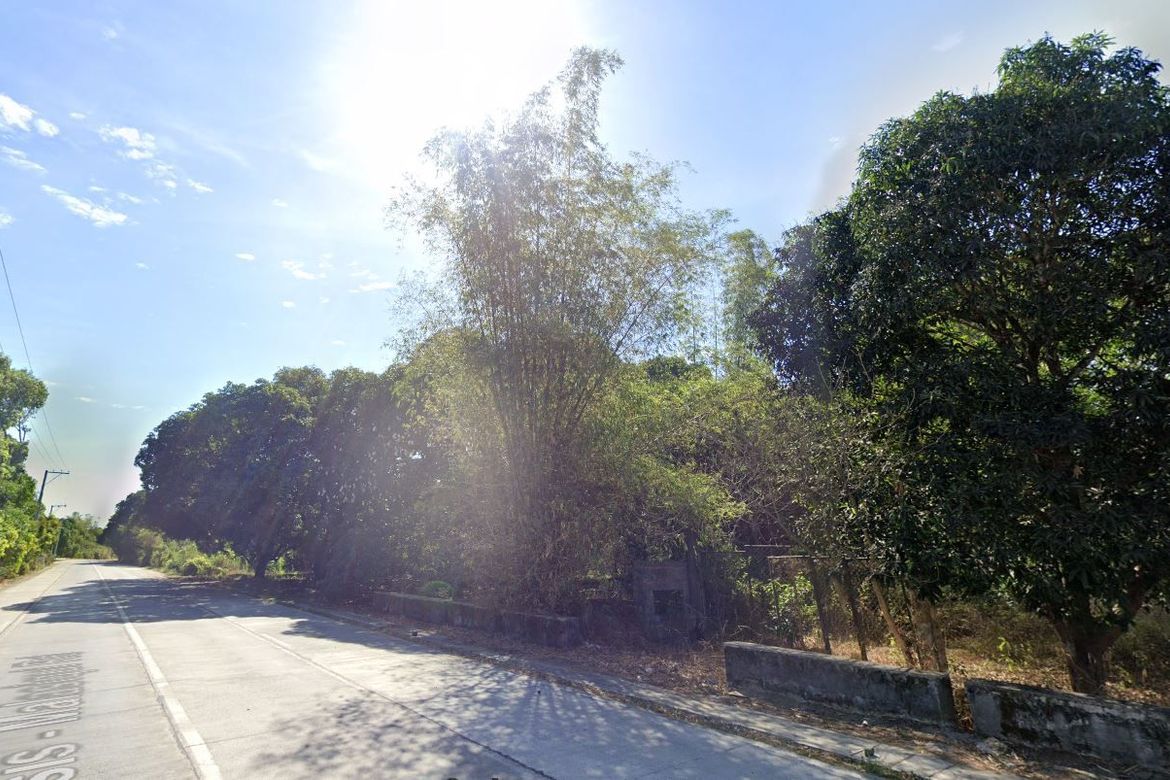 Land for Sale in Unzad, Villasis, Pangasinan – photo 2