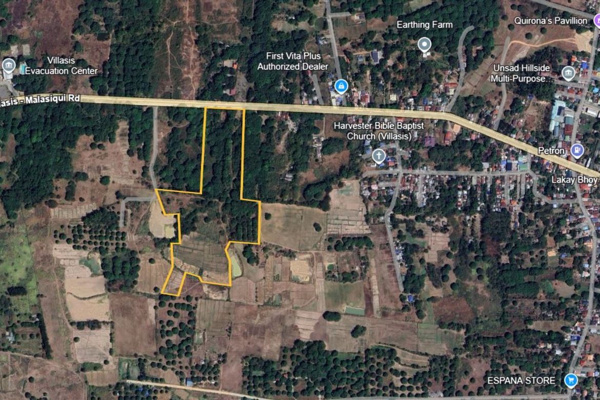 Land for Sale in Unzad, Villasis, Pangasinan