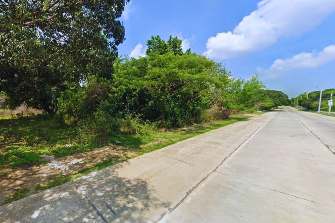 Land for Sale in Unzad, Villasis, Pangasinan – photo 4