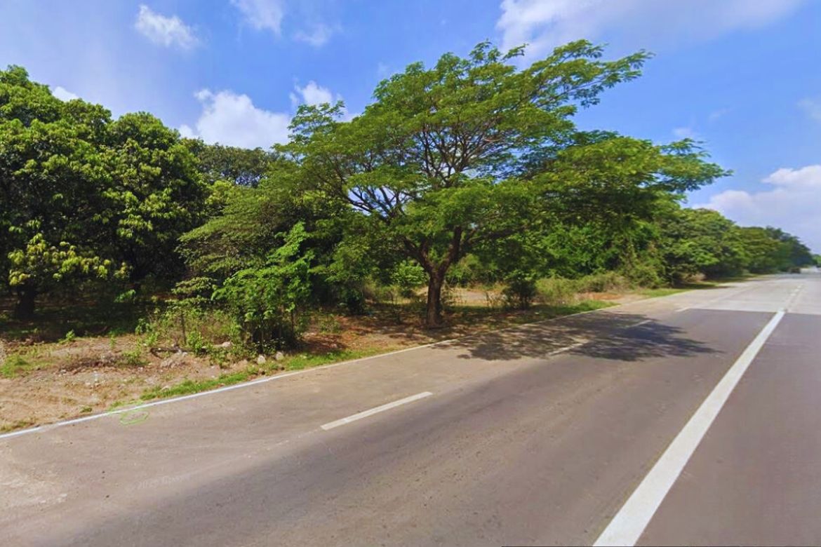Land for Sale in Unzad, Villasis, Pangasinan – photo 6