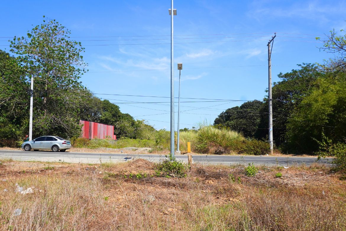 Land for Sale in Unzad, Villasis, Pangasinan – photo 7