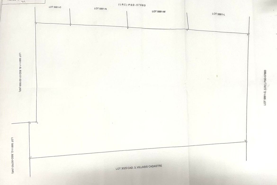 Land for Sale in Unzad, Villasis, Pangasinan – photo 5