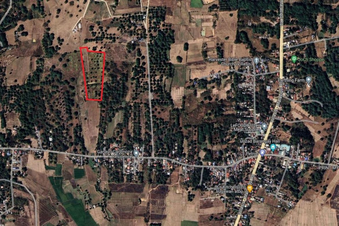 Land for Sale in Unzad, Villasis, Pangasinan – photo 7