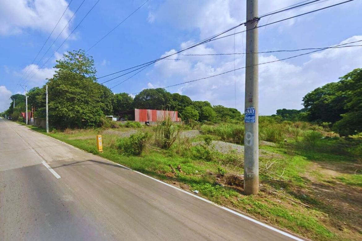 Land for Sale in Unzad, Villasis, Pangasinan – photo 4