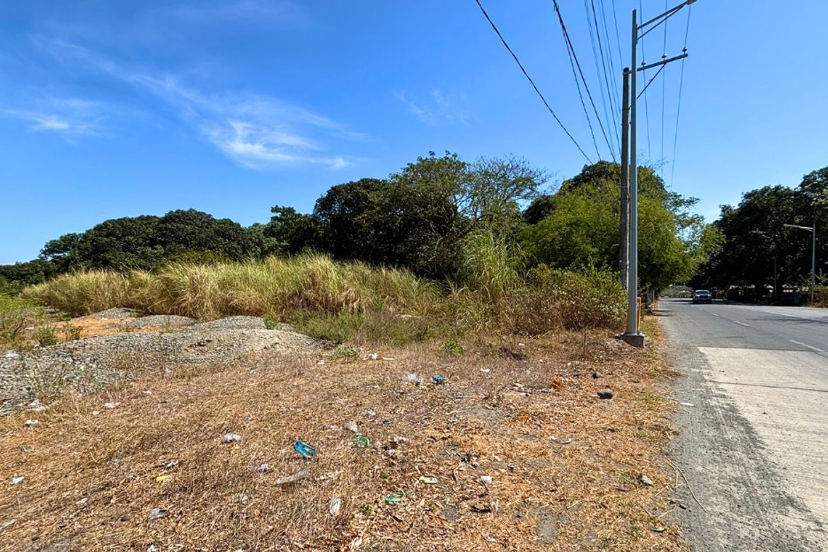 Land for Sale in Unzad, Villasis, Pangasinan – photo 8