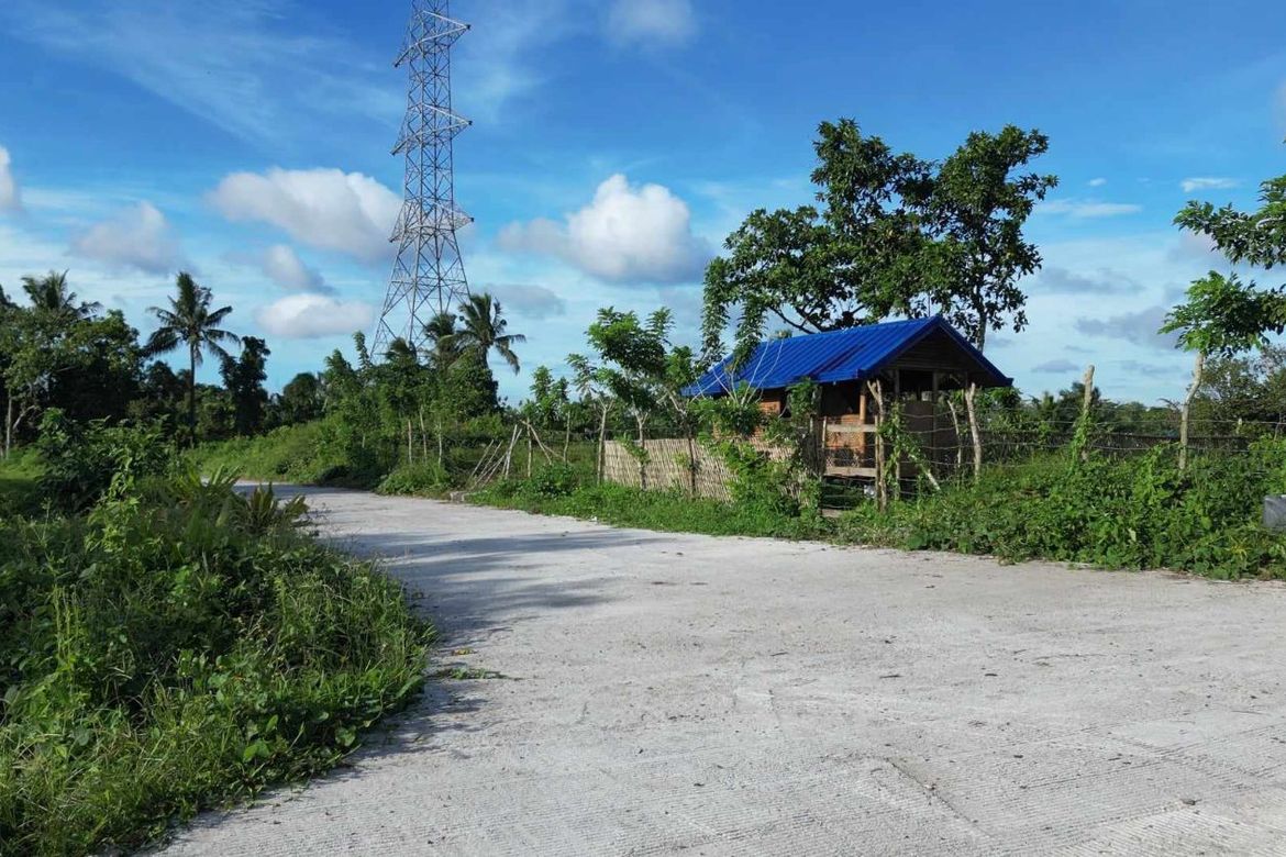 Land for Sale in Upli, Alfonso, Cavite – photo 3