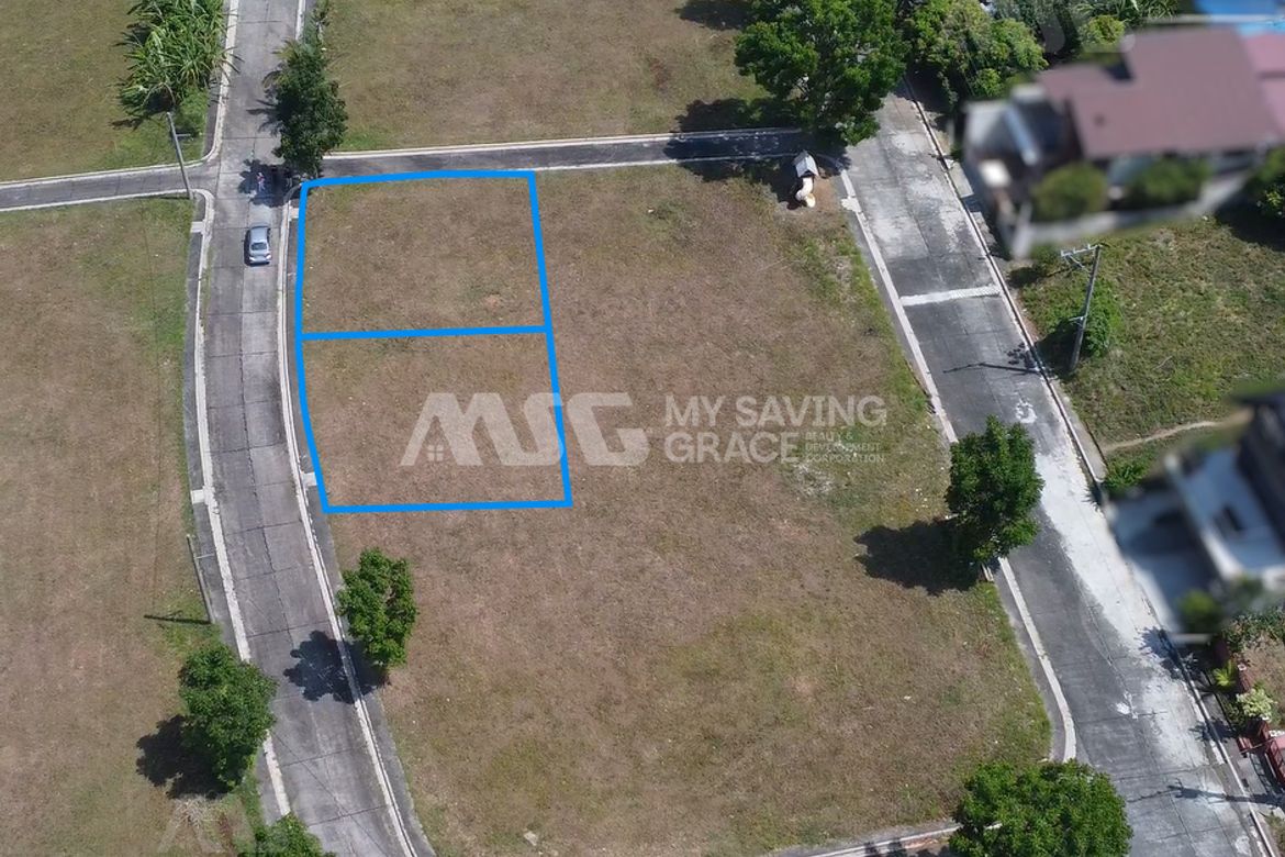 Land for Sale in Upli, Alfonso, Cavite – photo 2