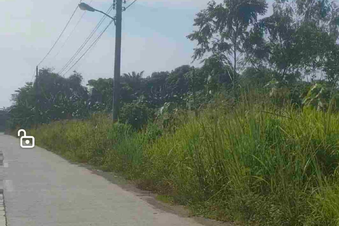 Land for Sale in Upper Licanan, Panabo, Davao del Norte – photo 2