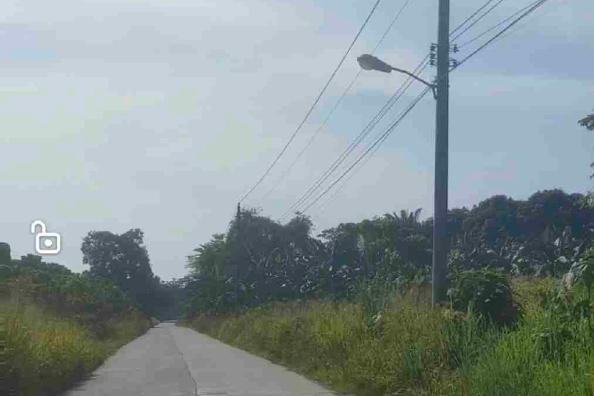 Land for Sale in Upper Licanan, Panabo, Davao del Norte – photo 3