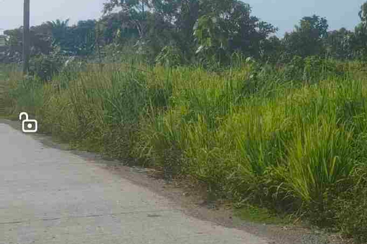 Land for Sale in Upper Licanan, Panabo, Davao del Norte – photo 4