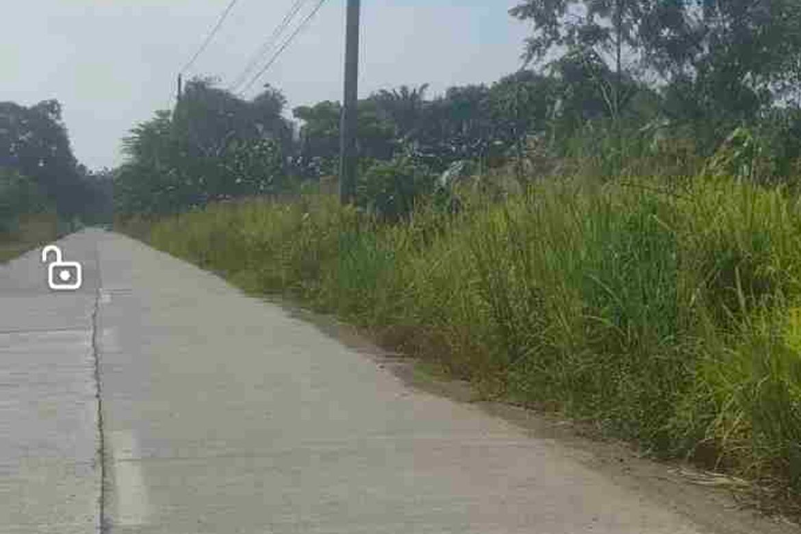 Land for Sale in Upper Licanan, Panabo, Davao del Norte – photo 5