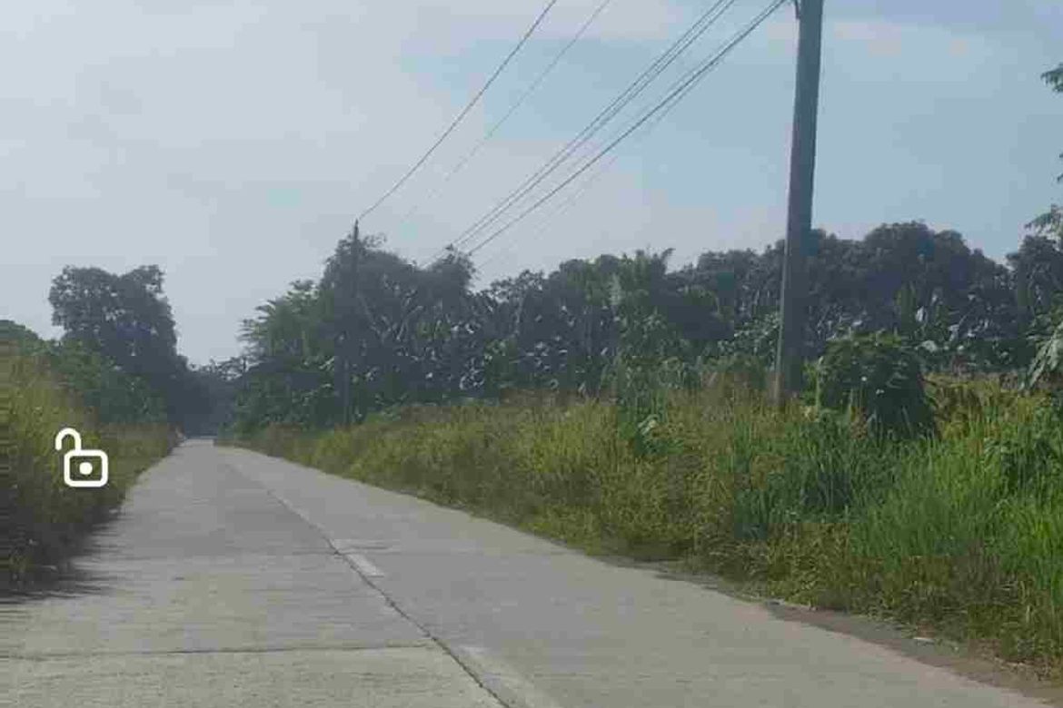 Land for Sale in Upper Licanan, Panabo, Davao del Norte – photo 6