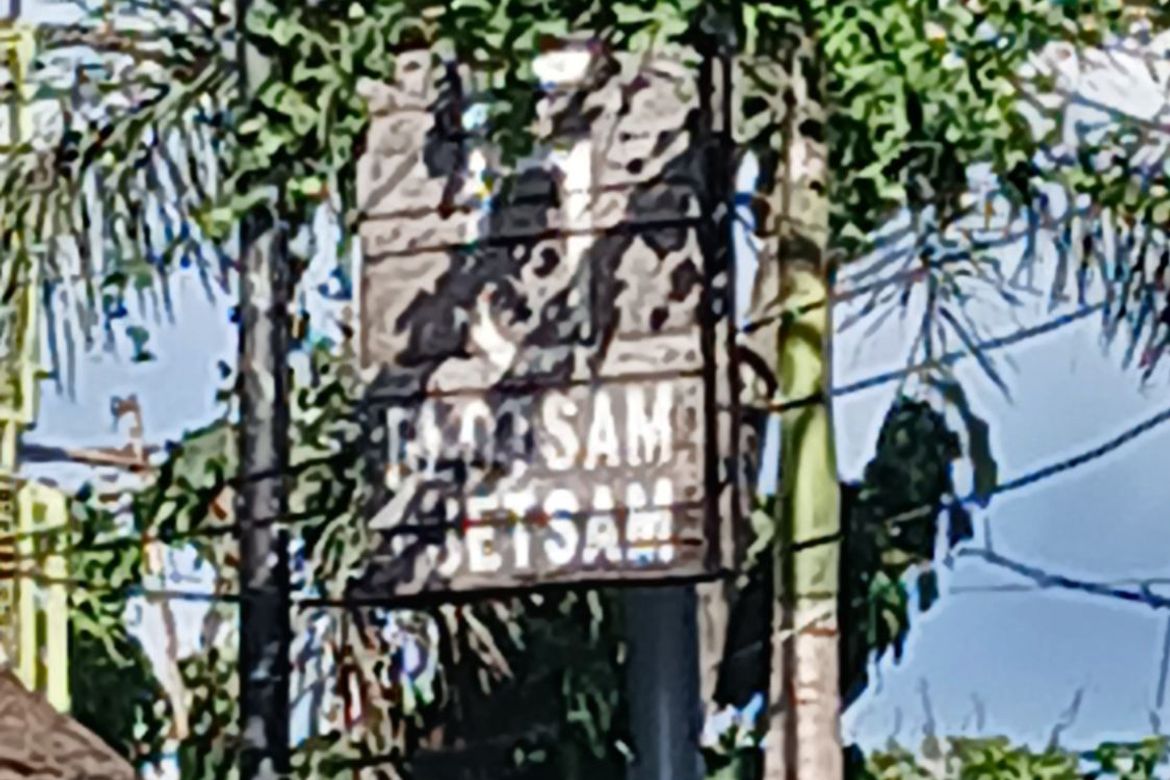 Land for Sale in Urbiztondo, San Juan, La Union – photo 6