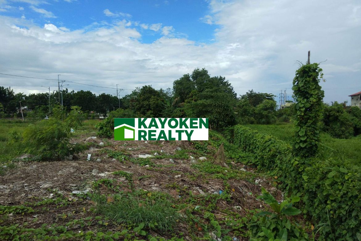 Land for Sale in Ususan, Taguig, Metro Manila – photo 3