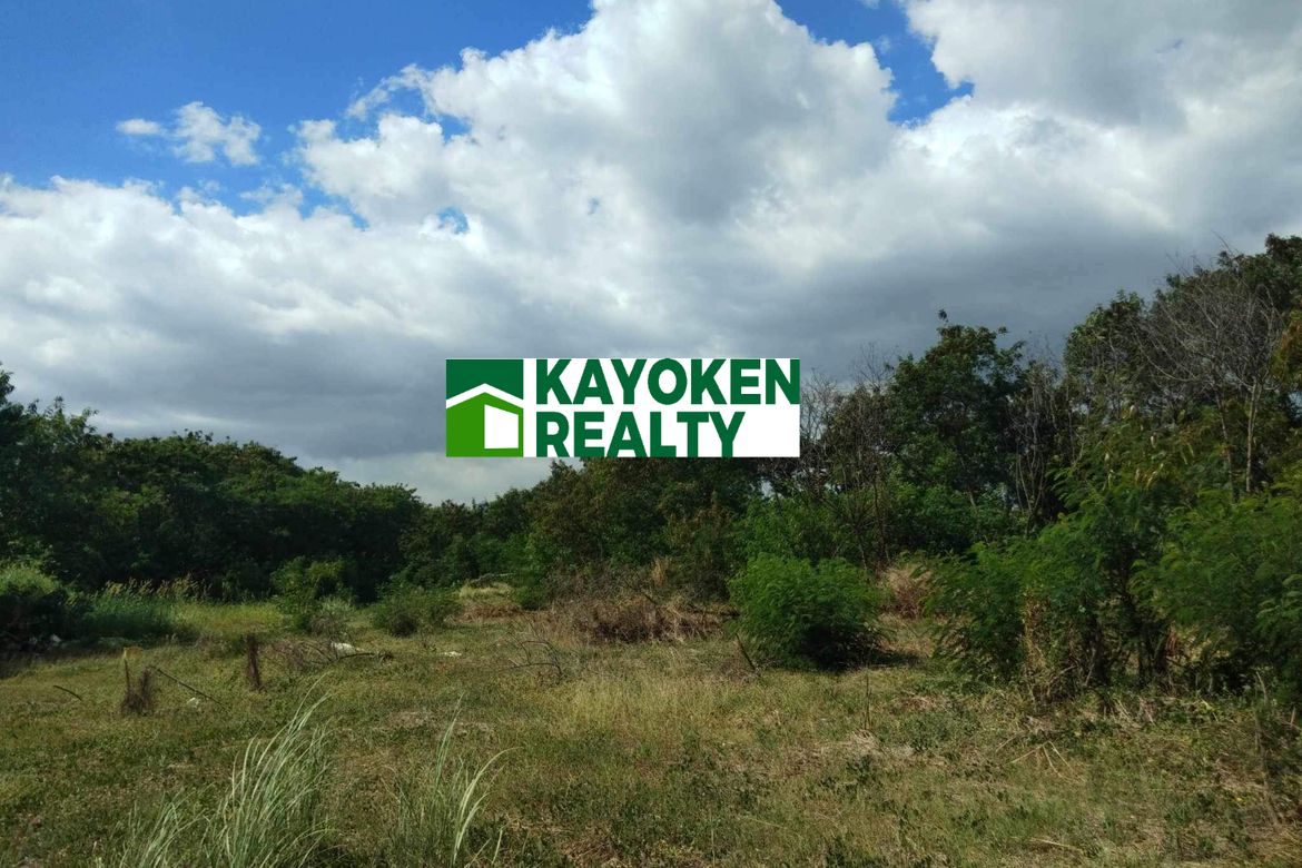 Land for Sale in Ususan, Taguig, Metro Manila – photo 2