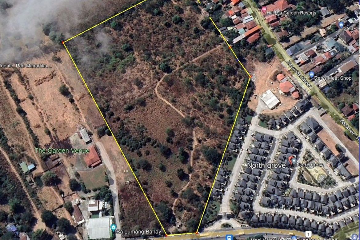 Land for Sale in Valdefuente, Cabanatuan, Nueva Ecija – photo 2