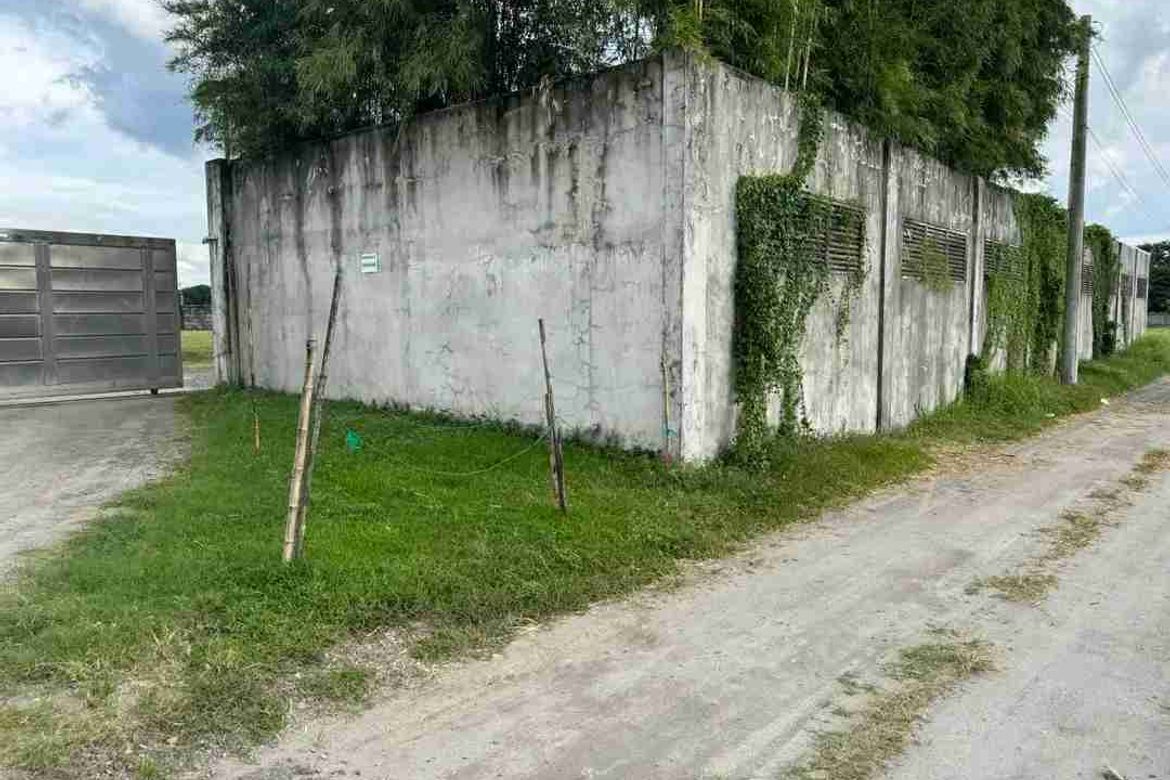 Land for Sale in Valdez, Floridablanca, Pampanga – photo 5