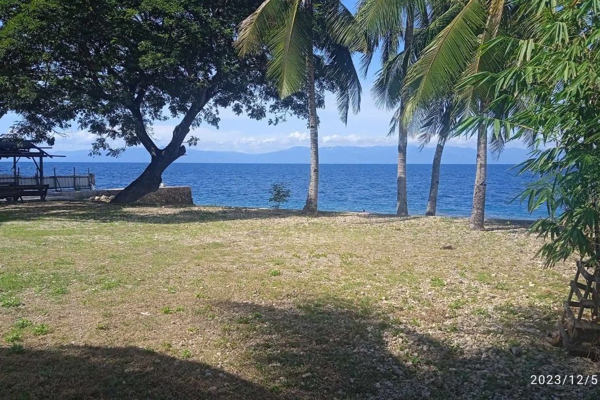 Land for Sale in Valencia, Alegria, Cebu