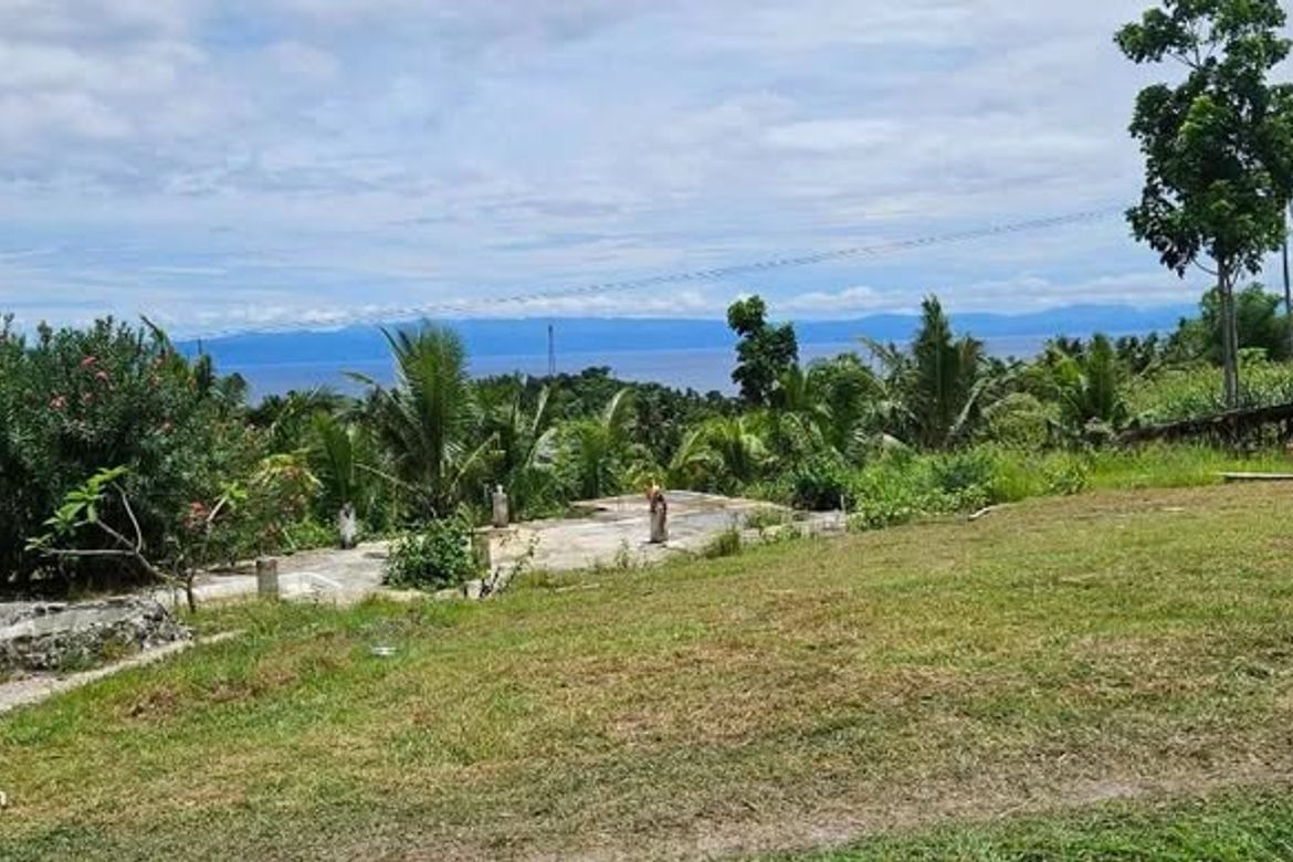 Land for Sale in Valencia, Alegria, Cebu – photo 4