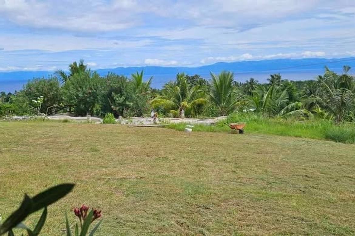 Land for Sale in Valencia, Alegria, Cebu – photo 7