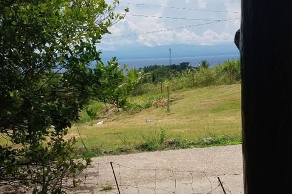 Land for Sale in Valencia, Alegria, Cebu – photo 8
