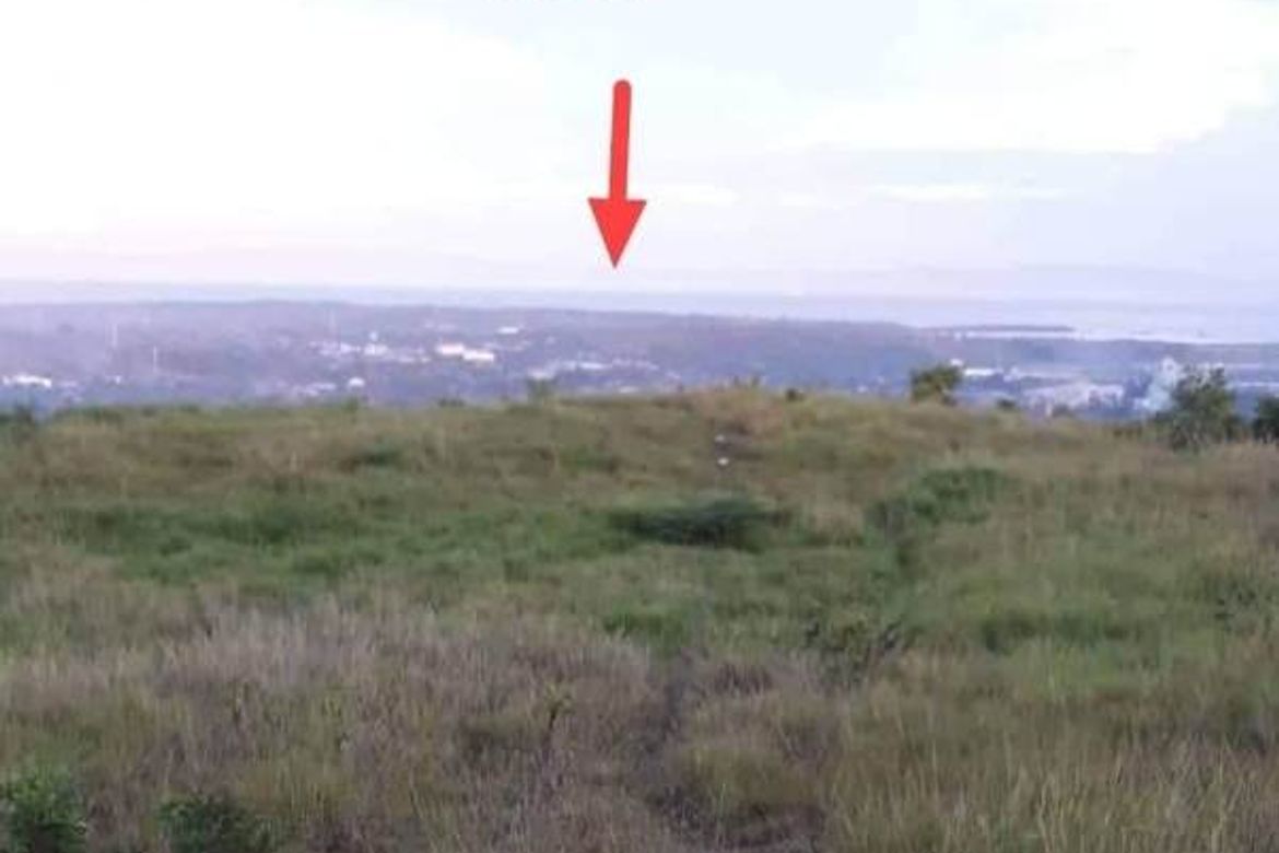 Land for Sale in Valencia, Carcar, Cebu – photo 2