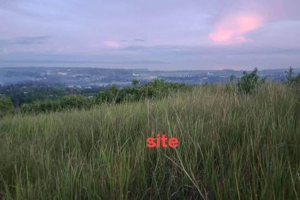 Land for Sale in Valencia, Carcar, Cebu – photo 6