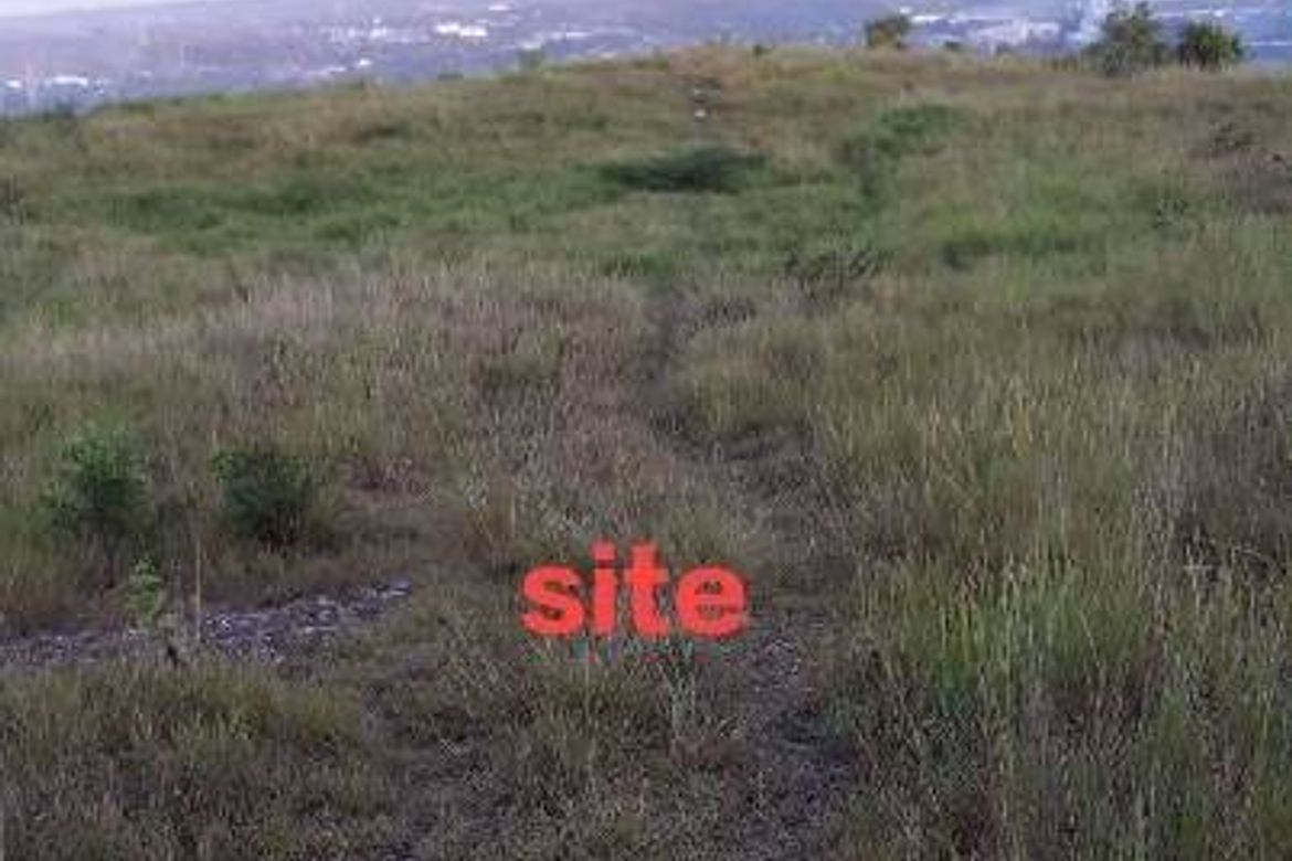 Land for Sale in Valencia, Carcar, Cebu – photo 7