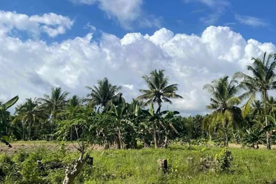 Land for Sale in Valencia, Carcar, Cebu
