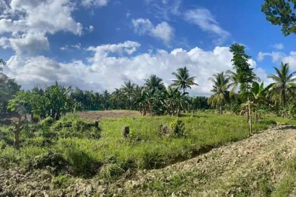 Land for Sale in Valencia, Carcar, Cebu – photo 2