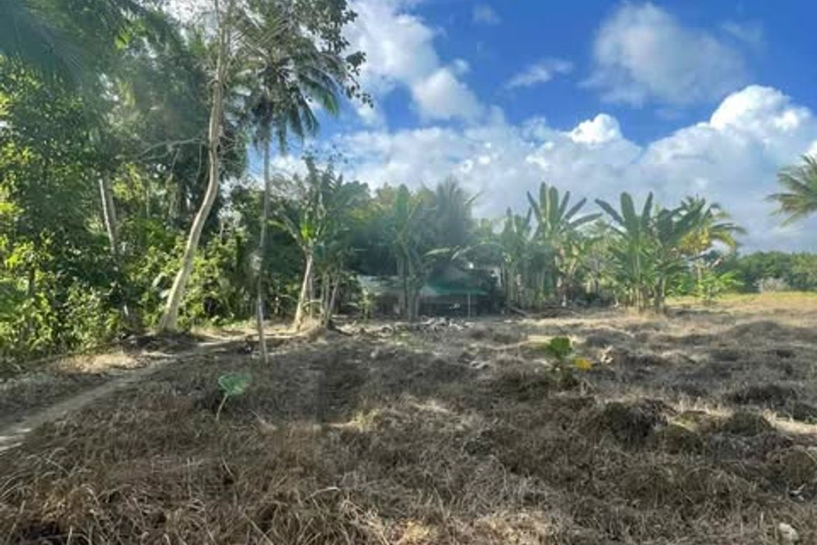 Land for Sale in Valencia, Carcar, Cebu – photo 3