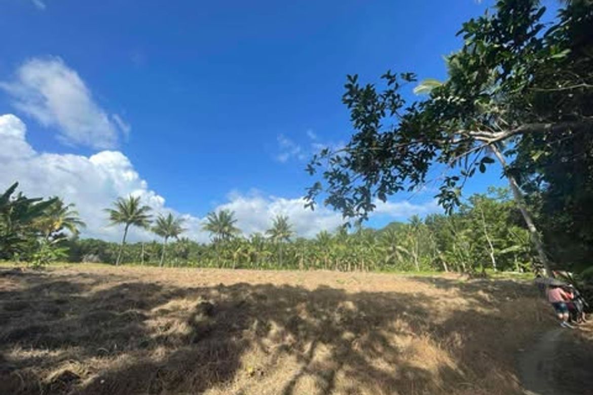 Land for Sale in Valencia, Carcar, Cebu – photo 4