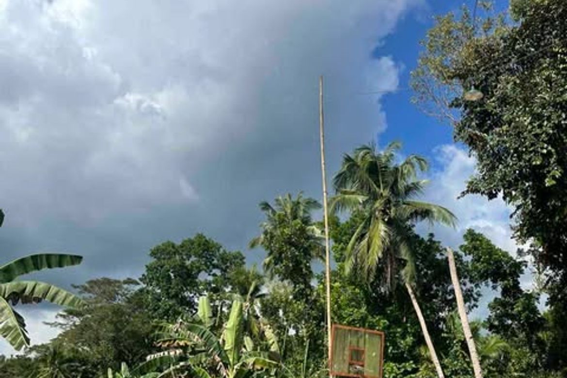 Land for Sale in Valencia, Carcar, Cebu – photo 6