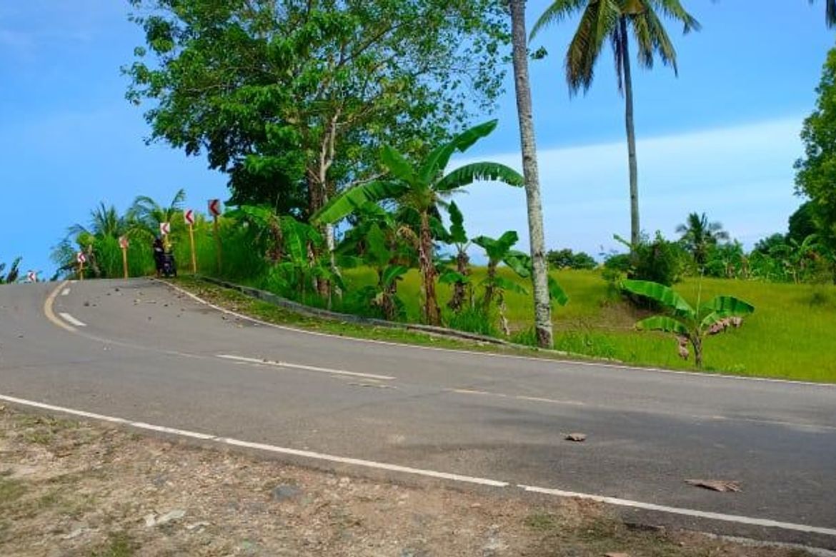 Land for Sale in Valencia, Carcar, Cebu – photo 4