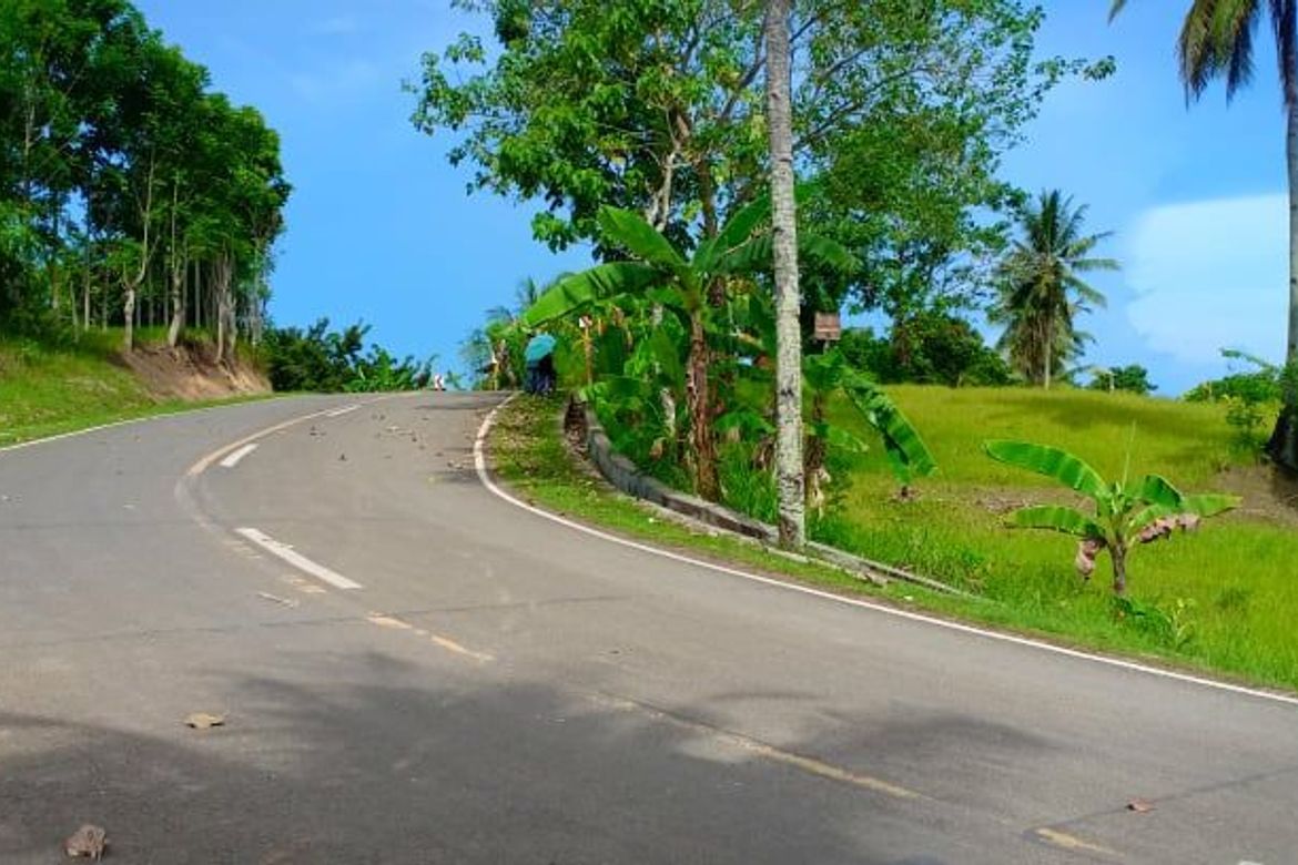 Land for Sale in Valencia, Carcar, Cebu – photo 6