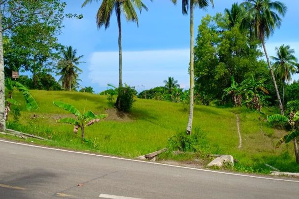 Land for Sale in Valencia, Carcar, Cebu – photo 7