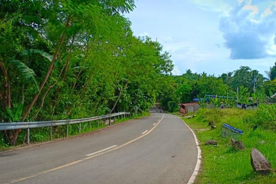 Land for Sale in Valencia, Carcar, Cebu – photo 8