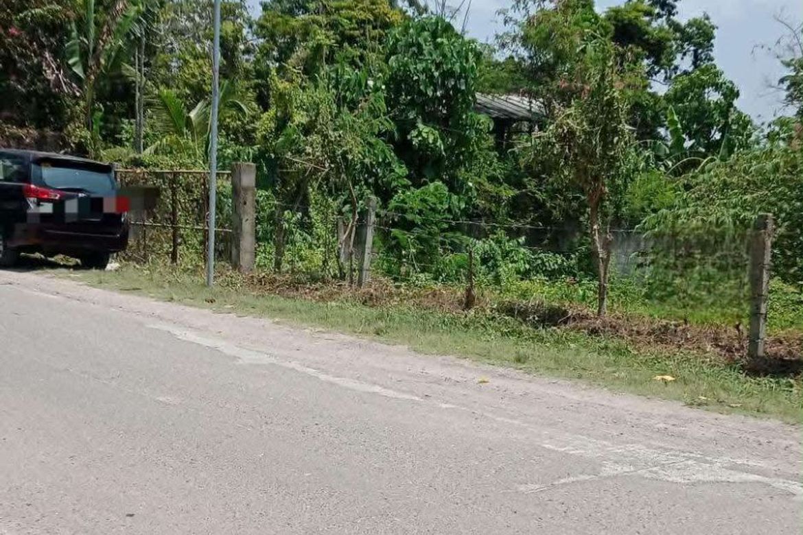 Land for Sale in Valladolid, Carcar, Cebu