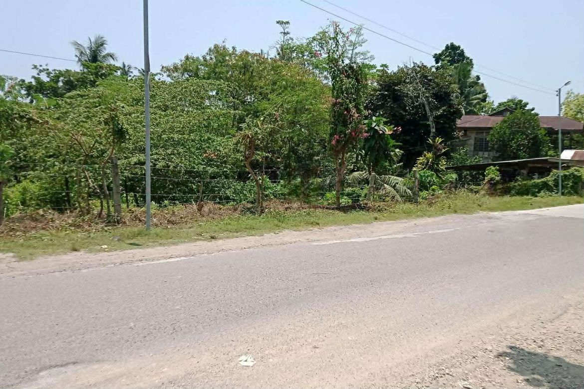 Land for Sale in Valladolid, Carcar, Cebu – photo 3