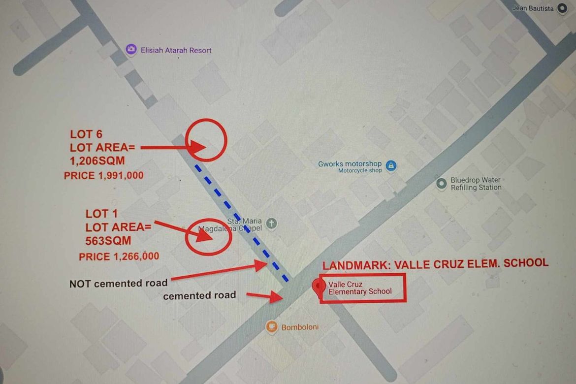 Land for Sale in Valle Cruz, Cabanatuan, Nueva Ecija – photo 2