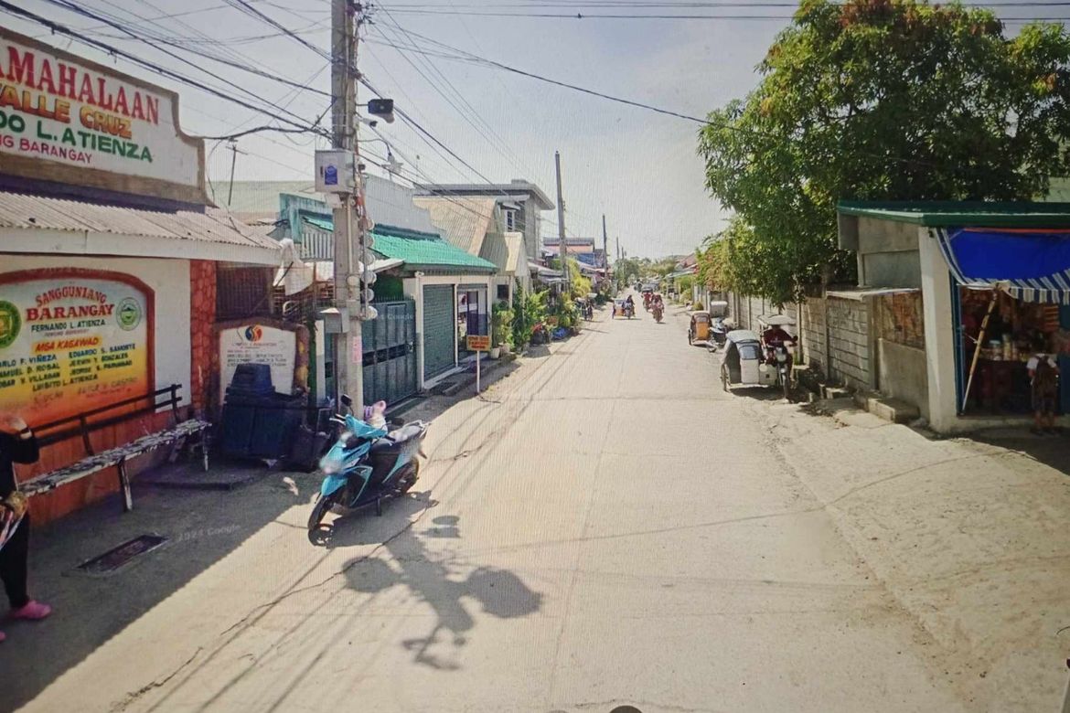 Land for Sale in Valle Cruz, Cabanatuan, Nueva Ecija – photo 3