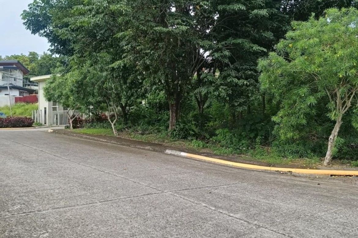 Land for Sale in VERA ESTATES, Umapad, Mandaue, Cebu – photo 3