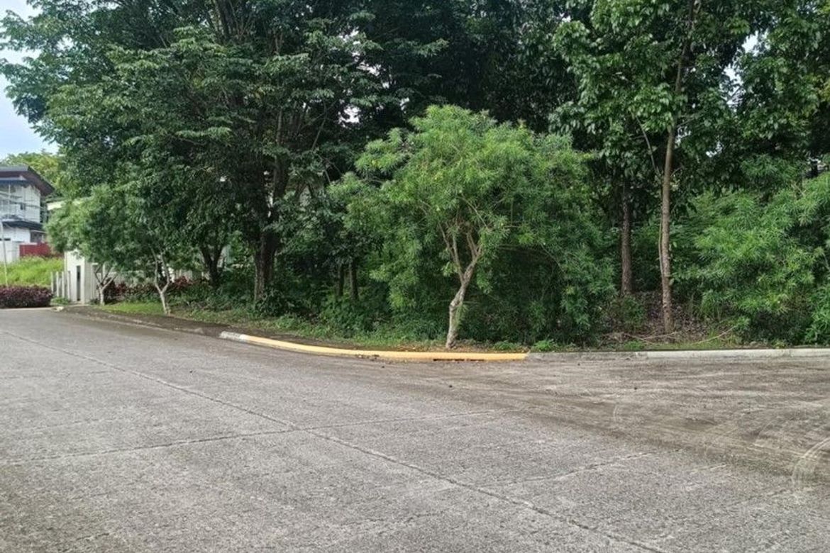 Land for Sale in VERA ESTATES, Umapad, Mandaue, Cebu – photo 4
