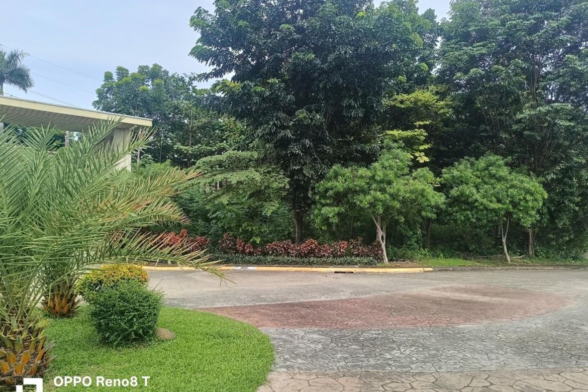 Land for Sale in VERA ESTATES, Umapad, Mandaue, Cebu – photo 6