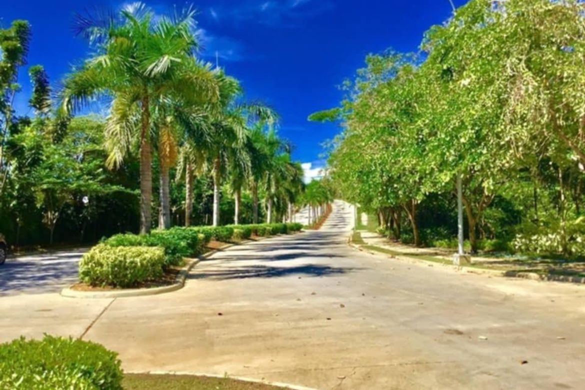 Land for Sale in VERA ESTATES, Umapad, Mandaue, Cebu – photo 8