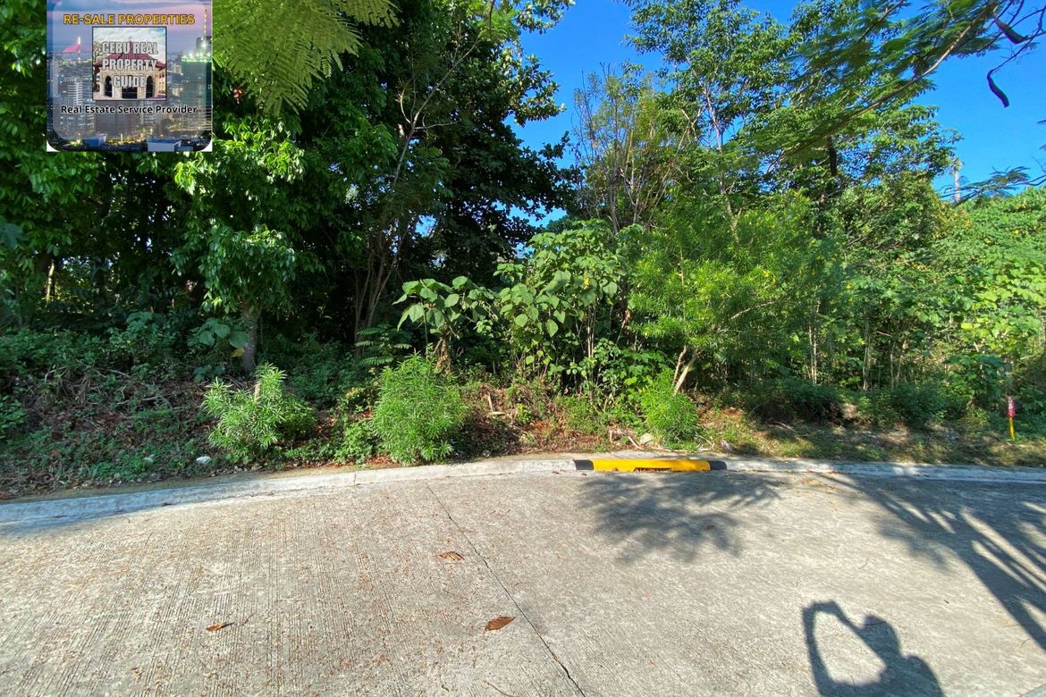 Land for Sale in VERA ESTATES, Umapad, Mandaue, Cebu – photo 5