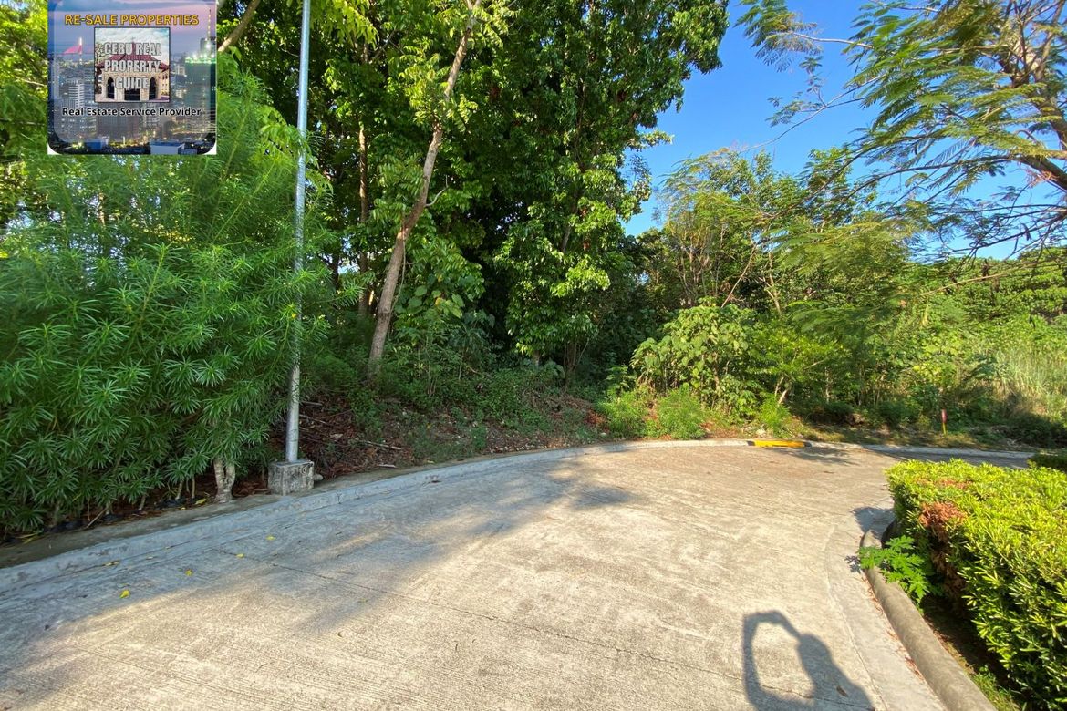 Land for Sale in VERA ESTATES, Umapad, Mandaue, Cebu – photo 7